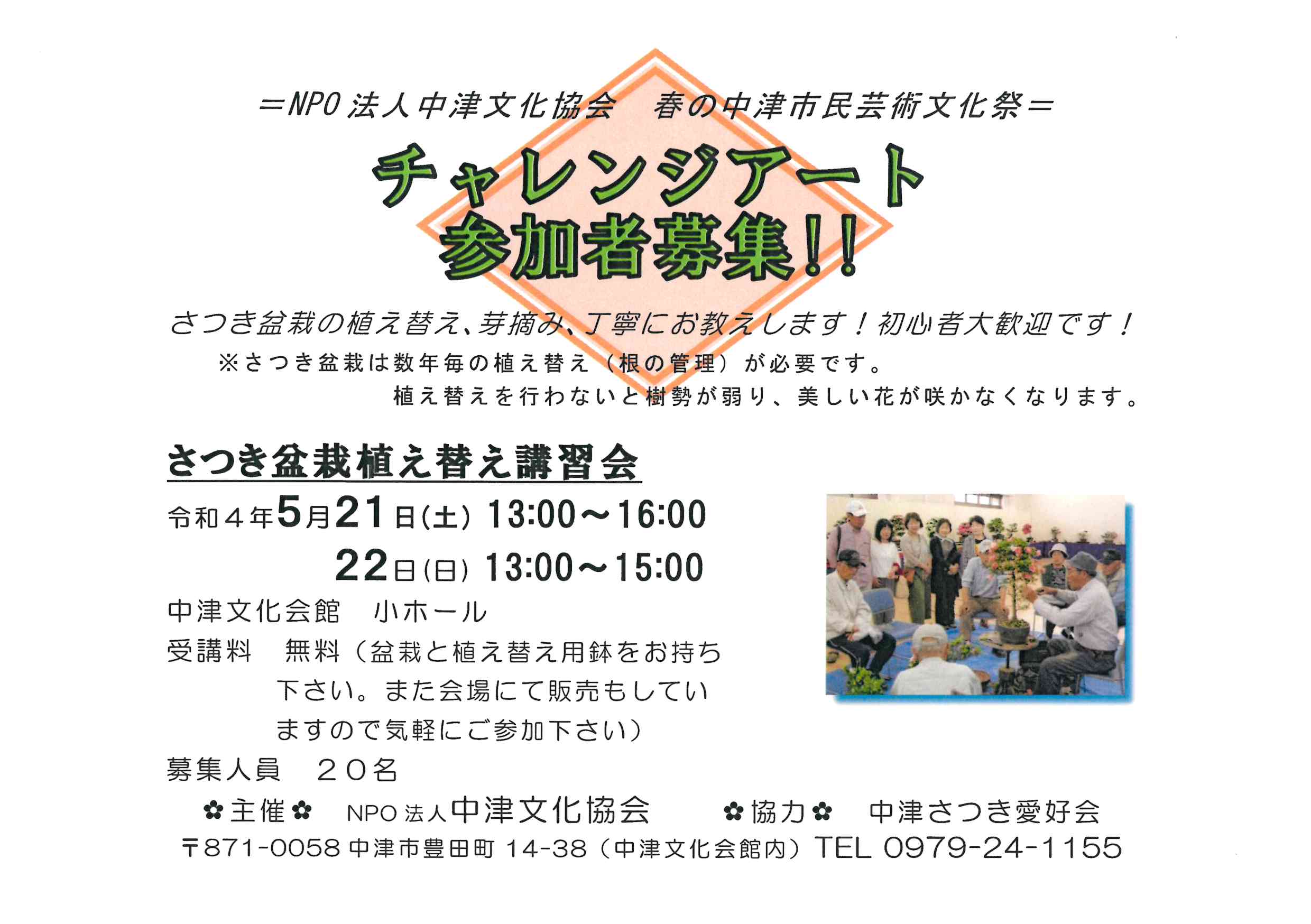 盆栽 中津文化会館